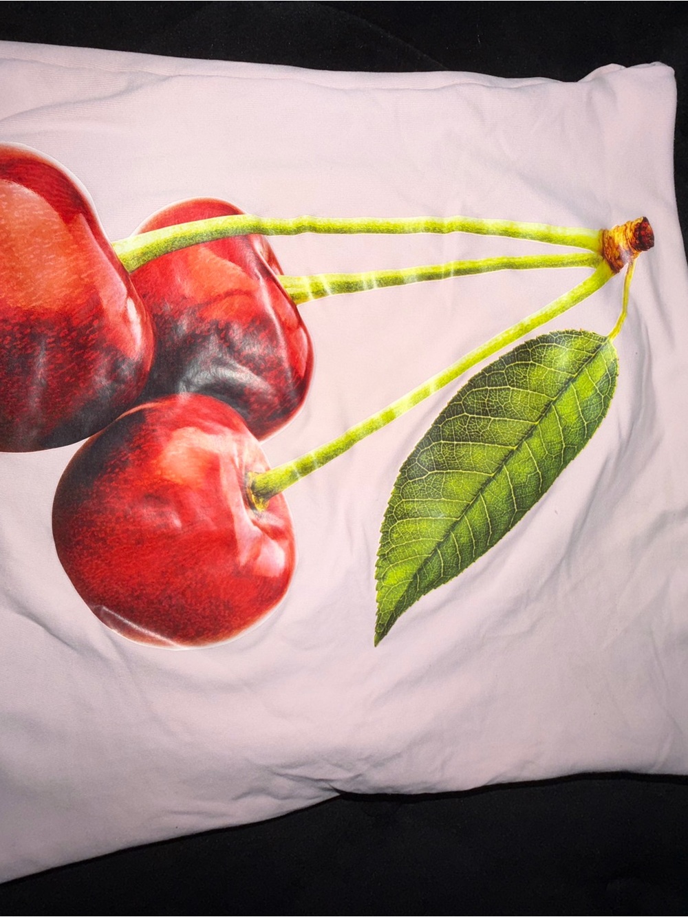 SHEIN Red Cherry Print Pillowcase with Green Leaf